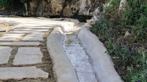 טקס מעין חנוכת המחטים (226).jpg